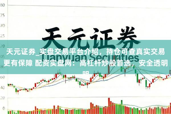 天元证券_实盘交易平台介绍，持仓可查真实交易更有保障 配资实盘网：高杠杆炒股首选，安全透明