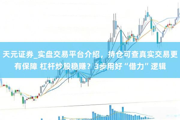 天元证券_实盘交易平台介绍，持仓可查真实交易更有保障 杠杆炒股稳赚？3步用好“借力”逻辑