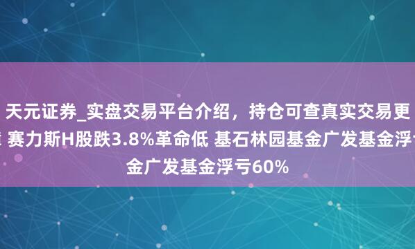 天元证券_实盘交易平台介绍，持仓可查真实交易更有保障 赛力斯H股跌3.8%革命低 基石林园基金广发基金浮亏60%