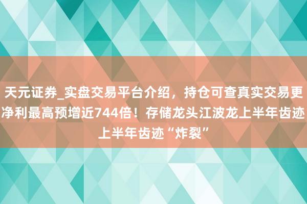 天元证券_实盘交易平台介绍，持仓可查真实交易更有保障 净利最高预增近744倍！存储龙头江波龙上半年齿迹“炸裂”