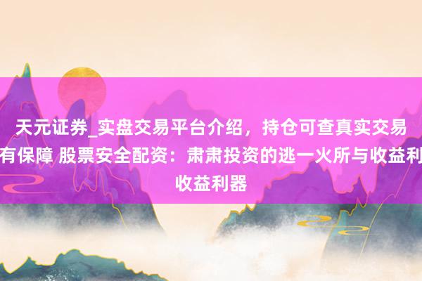 天元证券_实盘交易平台介绍，持仓可查真实交易更有保障 股票安全配资：肃肃投资的逃一火所与收益利器